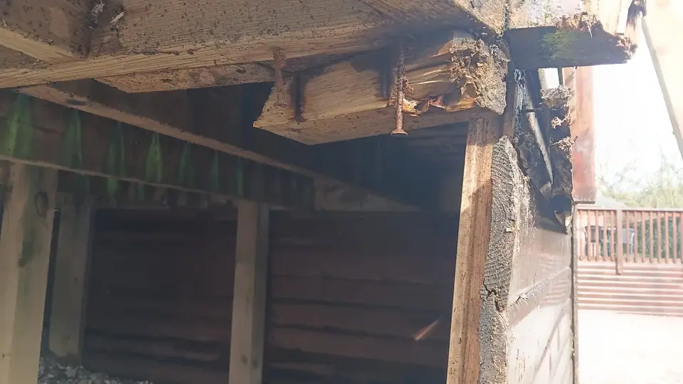 Decayed timber bearer exposed underneath a deck